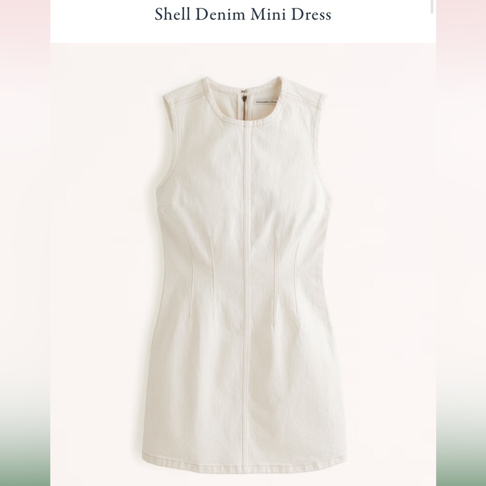 Abercrombie & Fitch Shell Denim Mini Dress